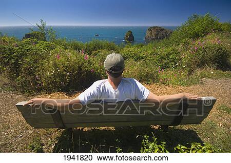 Stock Image - Man Sitting On A Bench Looking Out At Plants And The Ocean At Harris Beach State Park; Oregon United States Of America. Fotosearch