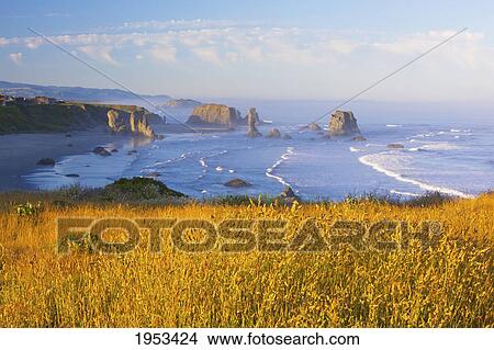 morning light adds beauty to fog covered rock formations at bandon state park; bandon oregon united states of america View Large Photo Image Picture - morning light adds beauty to fog covered rock formations at bandon state park; bandon oregon united states of america. Fotosearch