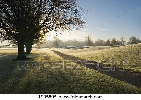 Mount Juliet Golf Course Covered In Frost; Thomastown, Kilkenny, Ireland View Large Photo Image Stock Photography - Mount Juliet Golf Course Covered In Frost; Thomastown, Kilkenny, Ireland. Fotosearch