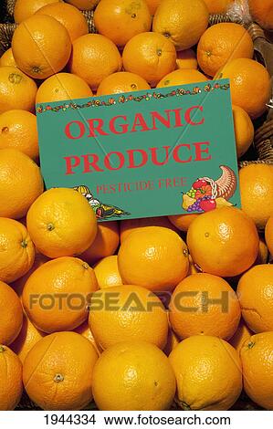oranges in a basket with a sign labeled organic produce; waterloo quebec canada View Large Photo Image Picture - oranges in a basket with a sign labeled organic produce; waterloo quebec canada. Fotosearch