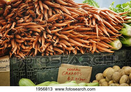 organic carrots at the farmers market; berkeley california united states of america View Large Photo Image Stock Image - organic carrots at the farmers market; berkeley california united states of america. Fotosearch