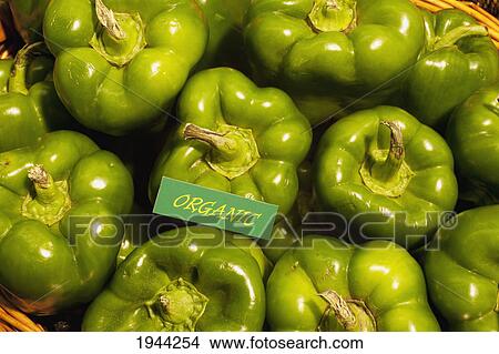 Picture - organic green peppers; waterloo quebec canada. Fotosearch