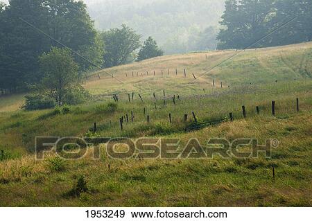 pasture with fence posts in the early morning fog; iron hill quebec canada View Large Photo Image Stock Photo - pasture with fence posts in the early morning fog; iron hill quebec canada. Fotosearch