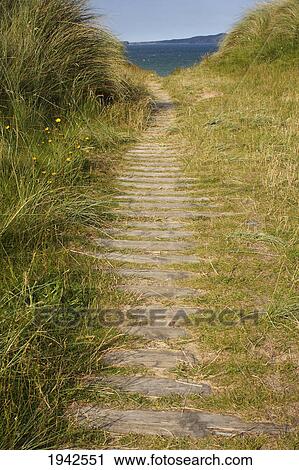 Stock Image - Path Leading Onto Tullagh Strand On The Inishowen Peninsula; County Donegal Ireland. Fotosearch