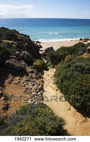 Stock Image - Path To Beach; Chiclana De La Frontera Spain. Fotosearch