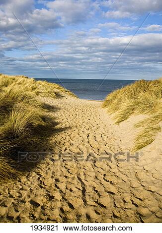 Path To Beach; Warkworth Beach, Northumberland, England View Large Photo Image Stock Image - Path To Beach; Warkworth Beach, Northumberland, England. Fotosearch