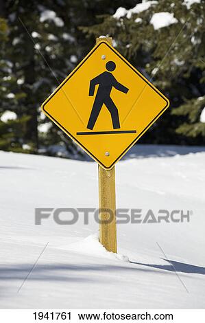 Stock Image - Pedestrian Sign Nearly Buried In Snow; Waterton Alberta Canada. Fotosearch