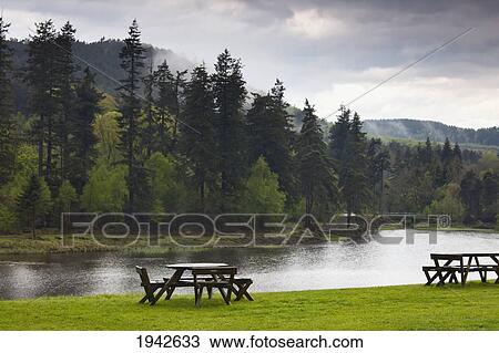 Stock Image - Picnic Tables Along The Edge Of The Water; Rothbury Northumberland England. Fotosearch