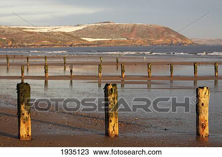 Stock Image - Posts Along The Shoreline In Winter; Youghal Beach, East Cork, Ireland. Fotosearch