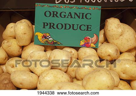 Stock Photo - potatoes with a sign labeled organic produce; waterloo quebec canada. Fotosearch