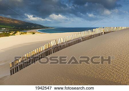 Punta Paloma Sand Dunes; Tarifa Costa De La Luz Cadiz Andalusia Spain View Large Photo Image Stock Photo - Punta Paloma Sand Dunes; Tarifa Costa De La Luz Cadiz Andalusia Spain. Fotosearch