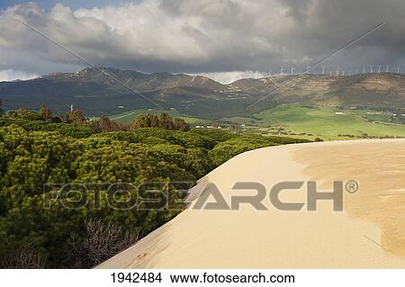 Picture - Punta Paloma Sand Dunes; Tarifa Spain. Fotosearch