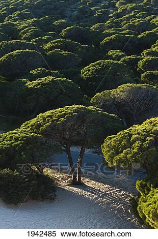 Stock Photography - Punta Paloma Sand Dunes; Tarifa Spain. Fotosearch