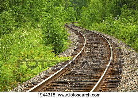 Stock Photo - railroad tracks running through a forested area; fulford quebec canada. Fotosearch