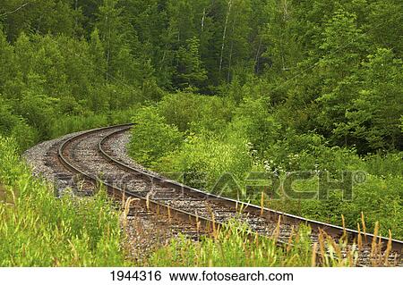 railroad tracks running through a forested area; fulford quebec canada View Large Photo Image Stock Photograph - railroad tracks running through a forested area; fulford quebec canada. Fotosearch