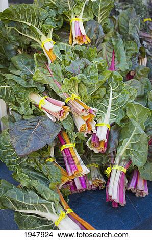 Picture - rainbow chard at the farmers market; berkeley california united states of america. Fotosearch
