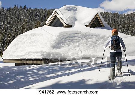 Rear View Of Female Snowshoeing; Waterton Alberta Canada View Large Photo Image Stock Image - Rear View Of Female Snowshoeing; Waterton Alberta Canada. Fotosearch