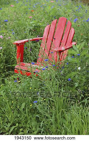 Red Adirondack Chair In The Tall Grass With Wildflowers; Troutdale Oregon United States Of America View Large Photo Image Stock Image - Red Adirondack Chair In The Tall Grass With Wildflowers; Troutdale Oregon United States Of America. Fotosearch