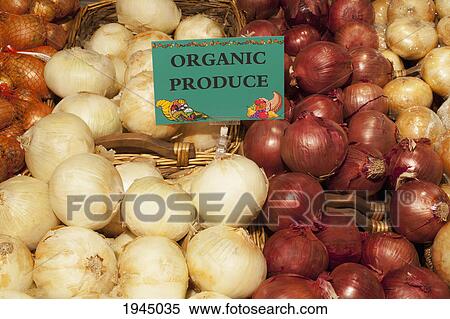 Stock Photography - red and white onions on display with a sign labeled organic produce; waterloo quebec canada. Fotosearch