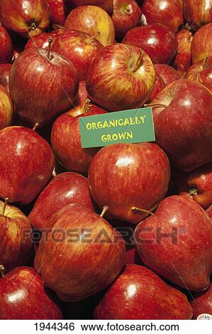 red delicious apples with a sign labeled organically grown; waterloo quebec canada View Large Photo Image Stock Photograph - red delicious apples with a sign labeled organically grown; waterloo quebec canada. Fotosearch