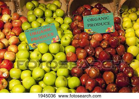 Stock Photograph - red green and yellow apples on display with signs labeled organic produce; waterloo quebec canada. Fotosearch