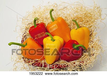 Stock Image - red yellow and orange bell peppers with an organic label; waterloo quebec canada. Fotosearch