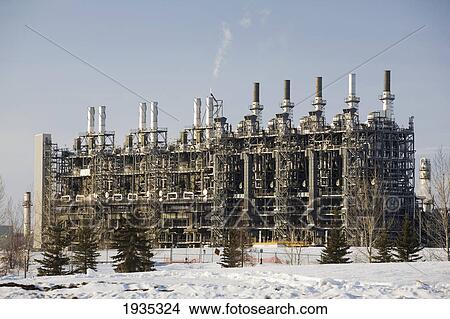 Picture - Refinery Stacks And Pipes In The Winter With Blue Sky; Fort Saskatchewan, Alberta, Canada. Fotosearch