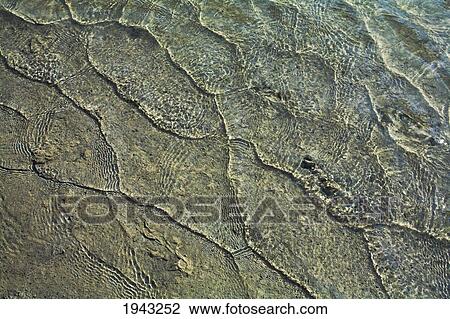 Stock Image - Ripples Along The Shore Of A Glacial Lake; Banff Alberta Canada. Fotosearch