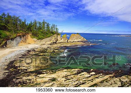 rock formations at shore acres state park; coos bay oregon united states of america View Large Photo Image Stock Image - rock formations at shore acres state park; coos bay oregon united states of america. Fotosearch