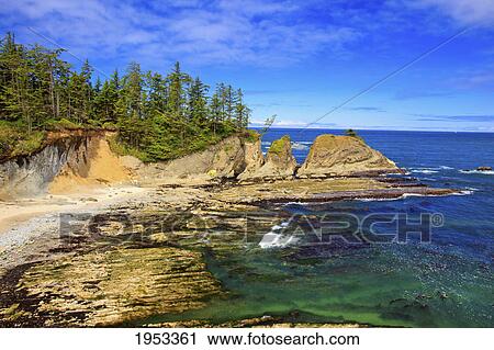 Stock Image - rock formations at shore acres state park; coos bay oregon united states of america. Fotosearch