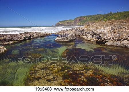 Stock Photo - rock formations on short beach at oregon islands national wildlife refuge; oregon united states of america. Fotosearch