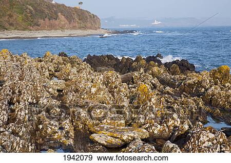 Stock Photo - Rocks Along The Coastline; Myrtleville County Cork Ireland. Fotosearch