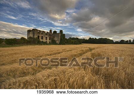 Stock Photo - Ruins Of A Building With A Field Of Wheat In The Foreground; Thomastown County Kilkenny Ireland. Fotosearch
