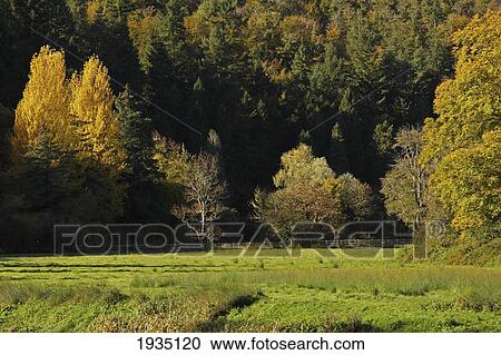 Rural Scene In The Nore River Valley; Inistioge, County Kilkenny, Ireland View Large Photo Image Stock Image - Rural Scene In The Nore River Valley; Inistioge, County Kilkenny, Ireland. Fotosearch