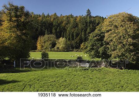 Rural Scene In The Nore River Valley; Inistioge, County Kilkenny, Ireland View Large Photo Image Stock Photo - Rural Scene In The Nore River Valley; Inistioge, County Kilkenny, Ireland. Fotosearch