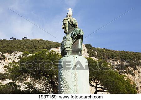 Seagull Perched On Monument; Gibraltar United Kingdom View Large Photo Image Stock Photo - Seagull Perched On Monument; Gibraltar United Kingdom. Fotosearch