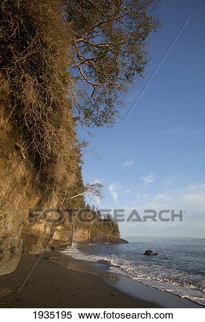 Stock Photography - Seashore And Cliffs On The Juan De Fuca Marine Trail; Mystic Beach, Vancouver Island, British Columbia, Canada. Fotosearch