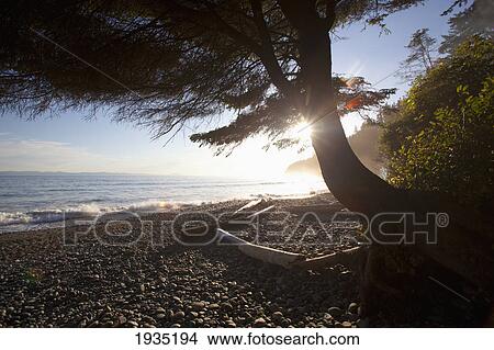 Picture - Seashore On The Juan De Fuca Marine Trail; Mystic Beach, Vancouver Island, British Columbia, Canada. Fotosearch