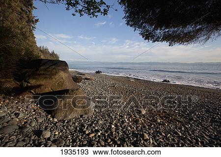 Seashore On The Juan De Fuca Marine Trail; Mystic Beach, Vancouver Island, British Columbia, Canada View Large Photo Image Stock Image - Seashore On The Juan De Fuca Marine Trail; Mystic Beach, Vancouver Island, British Columbia, Canada. Fotosearch