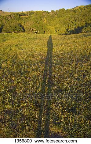 Stock Image - shadow of a person on a grassy hill at sunset; petaluma california united states of america. Fotosearch