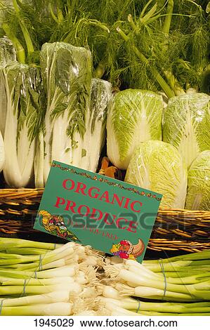shallots on display with a sign labeled organic produce; waterloo quebec canada View Large Photo Image Stock Photo - shallots on display with a sign labeled organic produce; waterloo quebec canada. Fotosearch