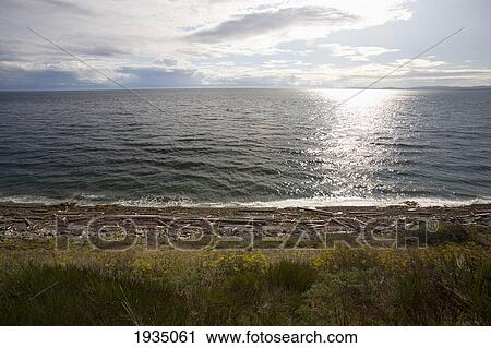 Stock Image - Shoreline Along Strait Of Juan De Fuca; Victoria, Vancouver Island, British Columbia, Canada. Fotosearch