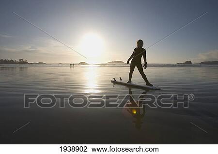 Stock Image - Silhouette Of Female Surfer Doing Yoga Stretches; Chesterman Beach Tofino Vancouver Island British Columbia Canada. Fotosearch