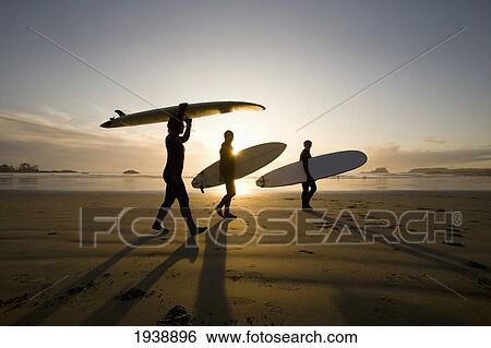Silhouette Of Three Surfers Carrying Surfboards; Chesterman Beach Tofino Vancouver Island British Columbia Canada View Large Photo Image Stock Photograph - Silhouette Of Three Surfers Carrying Surfboards; Chesterman Beach Tofino Vancouver Island British Columbia Canada. Fotosearch