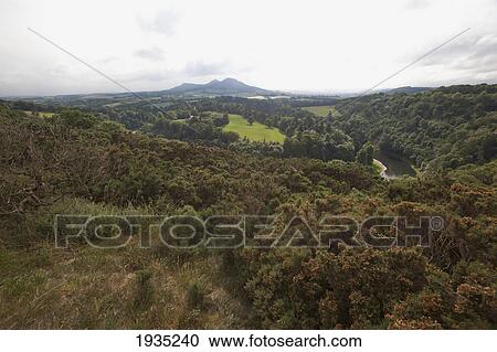 Stock Image - Sir Walter Scott's View; Scotland,. Fotosearch