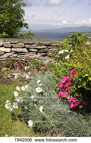 Stock Photograph - Small Garden In Coastal Village; Eyeries County Cork Ireland. Fotosearch