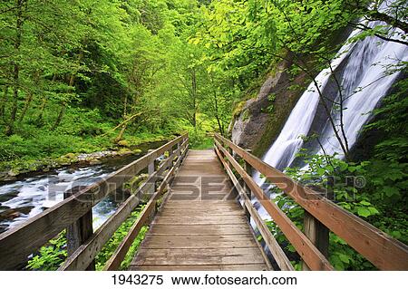 Stock Photography - Small Waterfall Along Tanner Creek In Columbia River Gorge National Scenic Area In The Pacific Northwest; Oregon United States Of America. Fotosearch
