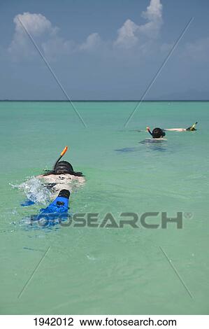 Snorkeling In The Tropical Ocean; Phi Phi Island Thailand View Large Photo Image Stock Image - Snorkeling In The Tropical Ocean; Phi Phi Island Thailand. Fotosearch