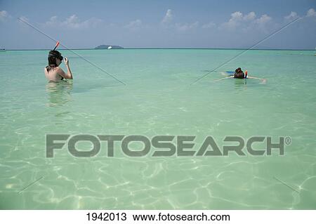 Snorkeling In The Tropical Ocean; Phi Phi Island Thailand View Large Photo Image Stock Image - Snorkeling In The Tropical Ocean; Phi Phi Island Thailand. Fotosearch