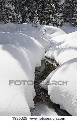 Stock Photography - Snow Covered Creek Bank; Kananaskis Country, Alberta, Canada. Fotosearch
